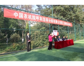 标题：呼和浩特分院举办“信笃志坚、奋起争先、凝心聚力、逐梦前行”第二届职工趣味运动会
浏览次数：4309
发表时间：2019-10-16