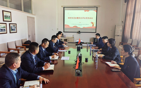 标题：销售党支部召开组织生活会暨民主评议党员会议
浏览次数：738
发表时间：2025-02-26